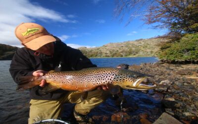 Best of Elk River 2020